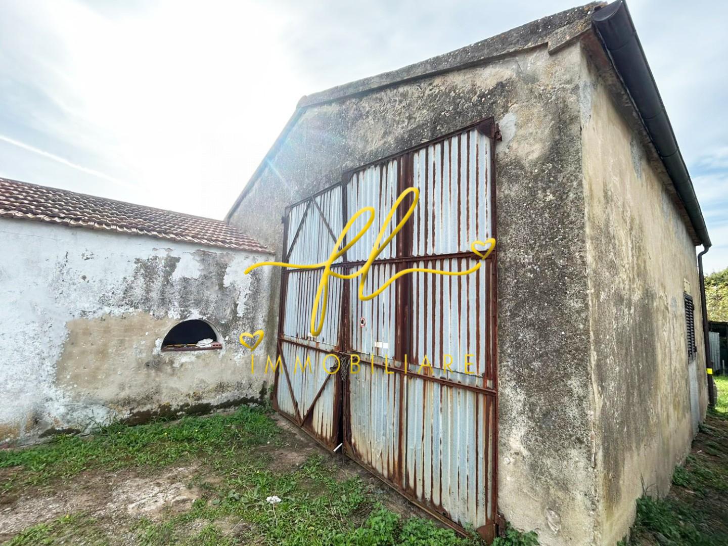 Terreno Agricolo in vendita, Rosignano Marittimo rosignano solvay