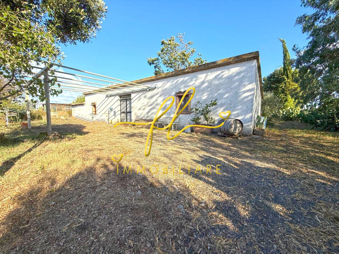 Terreno Agricolo in vendita, Cecina paratino