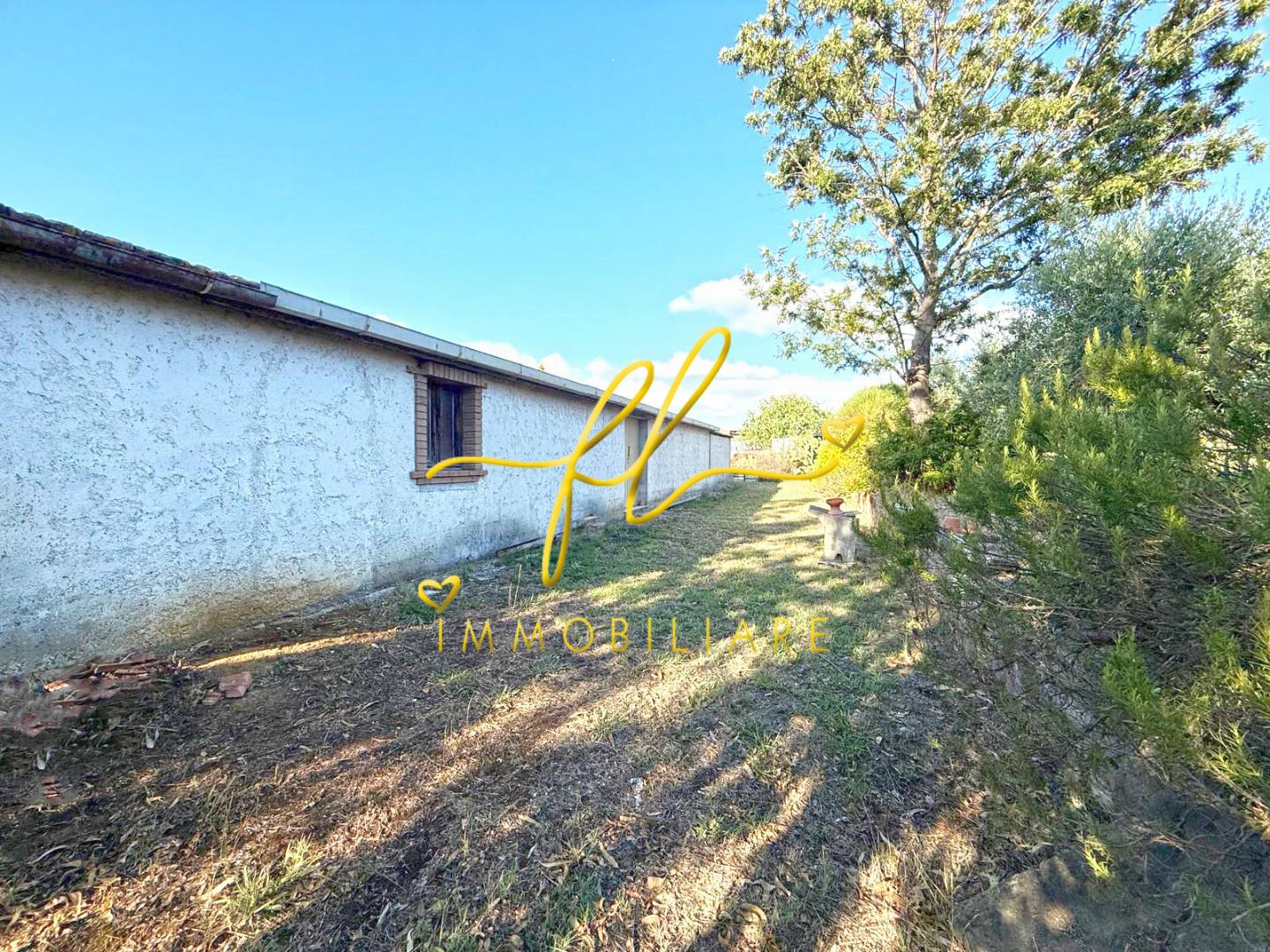 Terreno Agricolo in vendita a Cecina