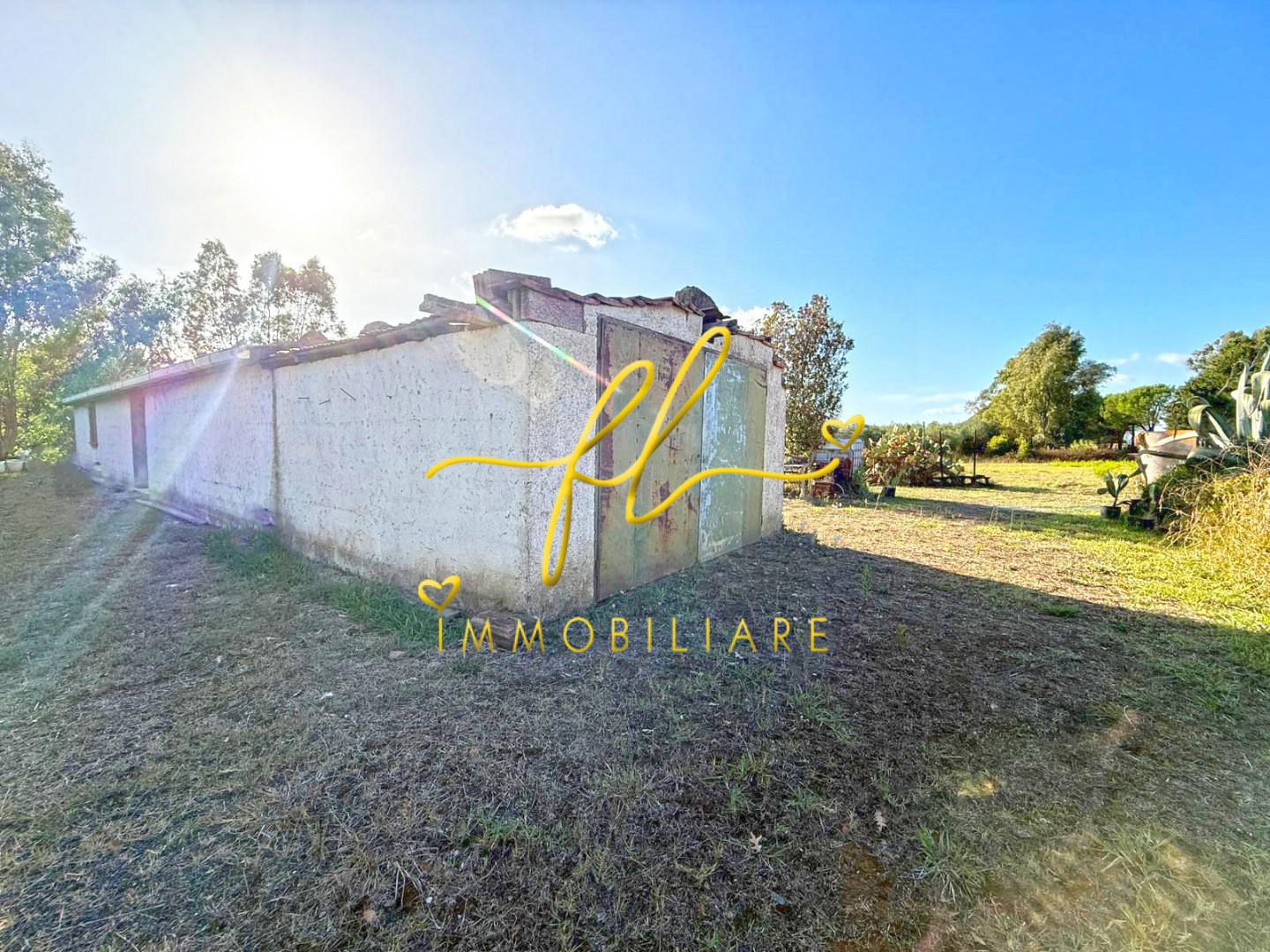 Terreno Agricolo in vendita a Cecina