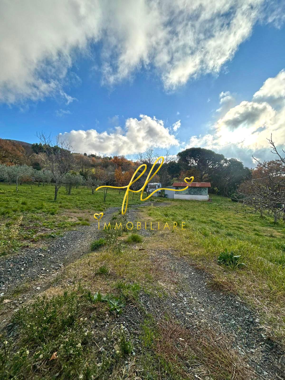 Terreno Agricolo in vendita a Castellina Marittima