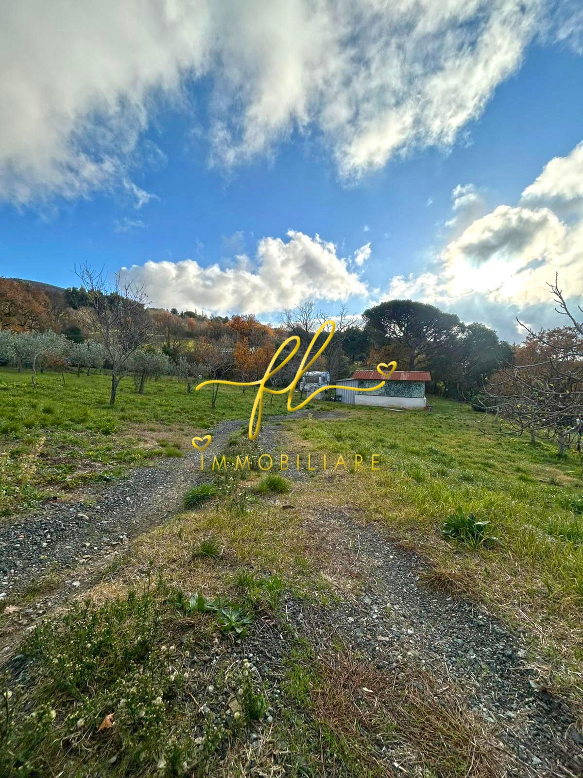 Terreno Agricolo in vendita a Castellina Marittima