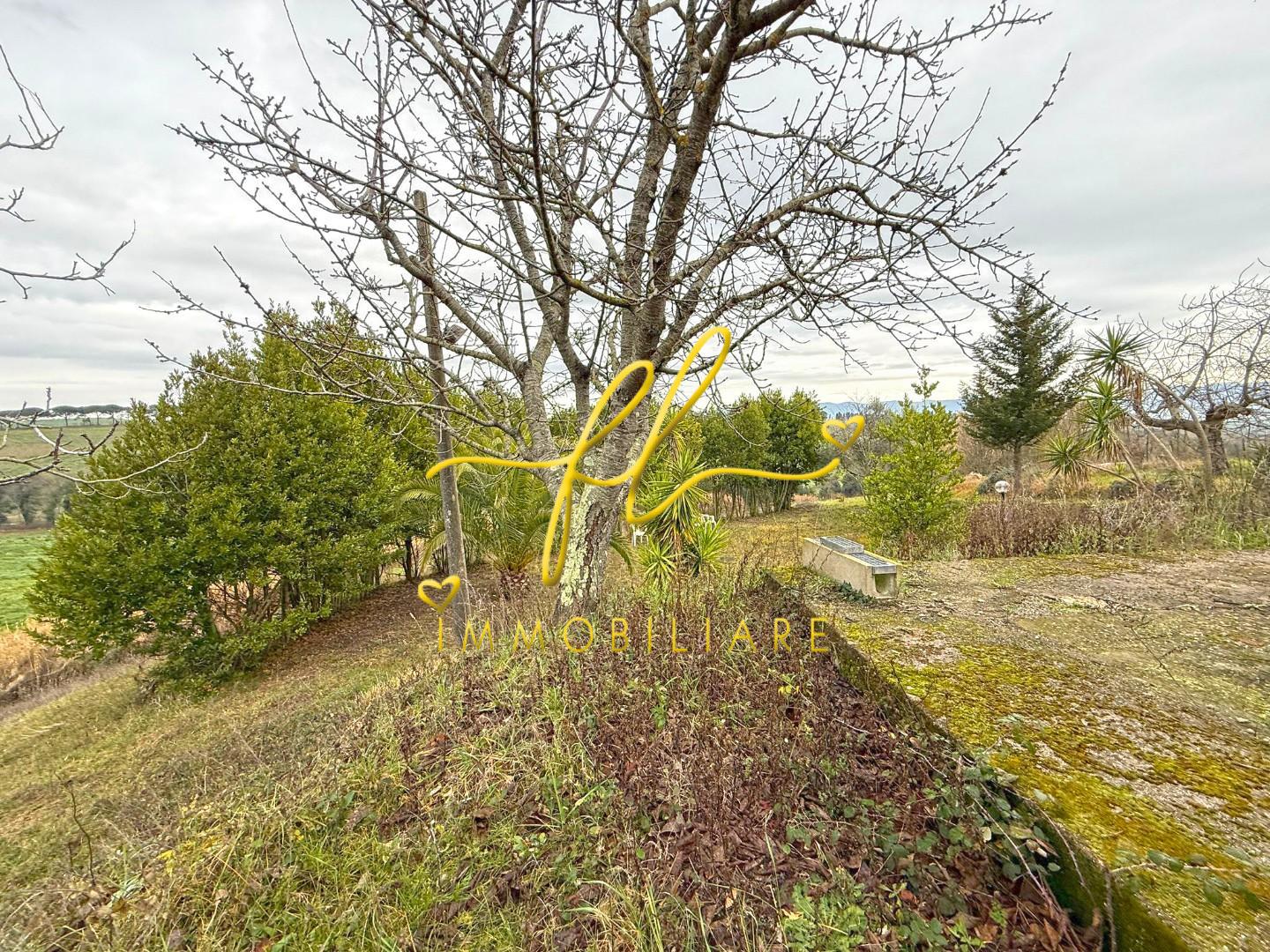Terreno Agricolo in vendita, Rosignano Marittimo castelnuovo misericordia