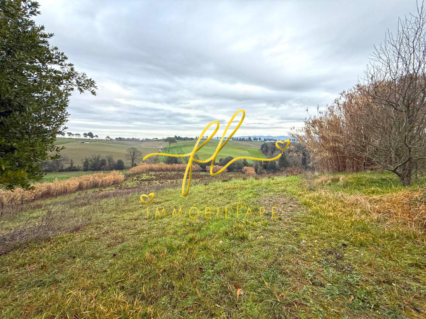 Terreno Agricolo in vendita, Rosignano Marittimo castelnuovo misericordia