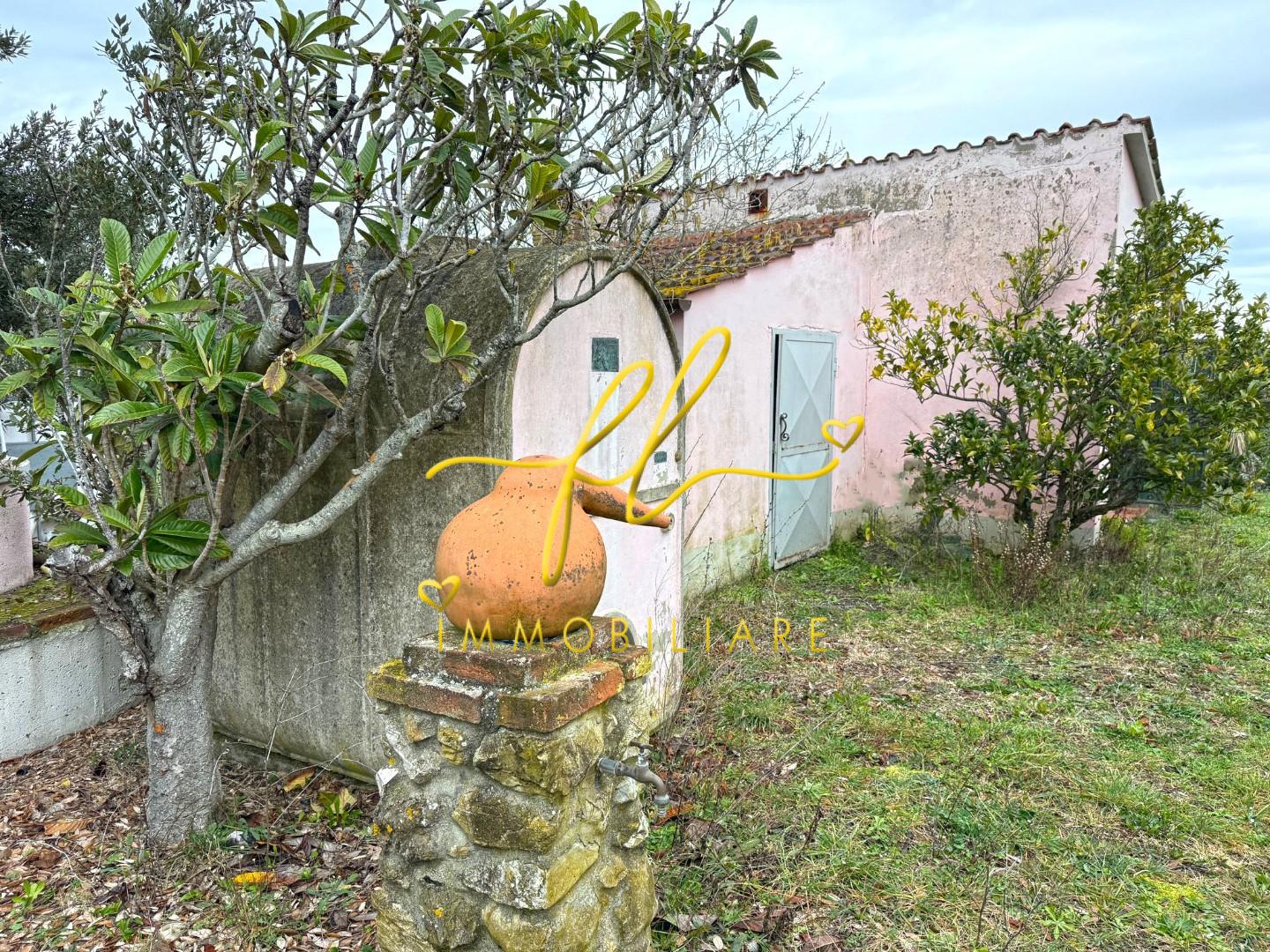 Terreno Agricolo in vendita, Rosignano Marittimo castelnuovo misericordia
