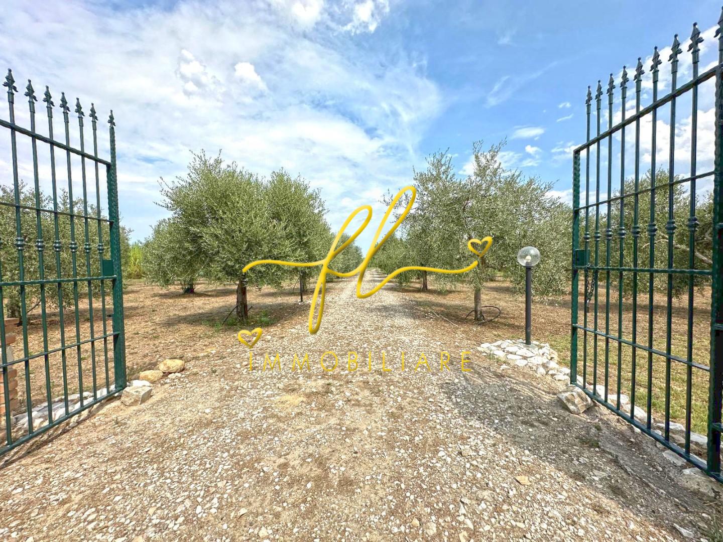 Terreno Agricolo in vendita a Bibbona