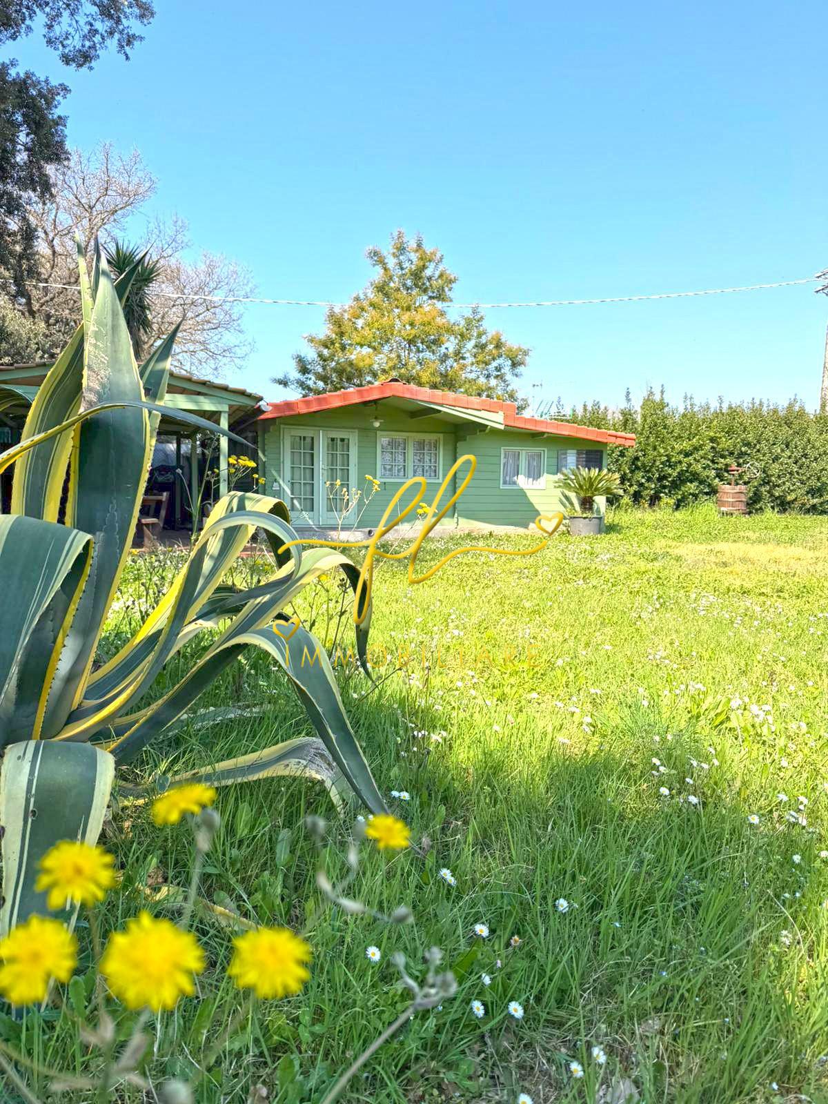 immagine annuncio 1 di 3