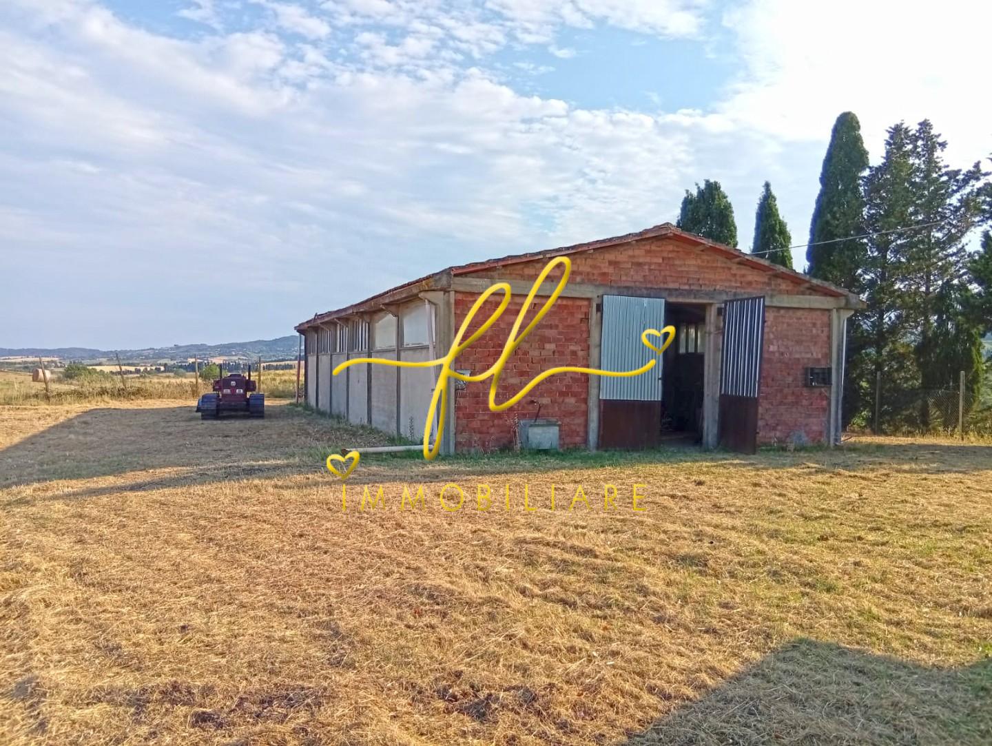 Terreno Agricolo in vendita a Rosignano Marittimo