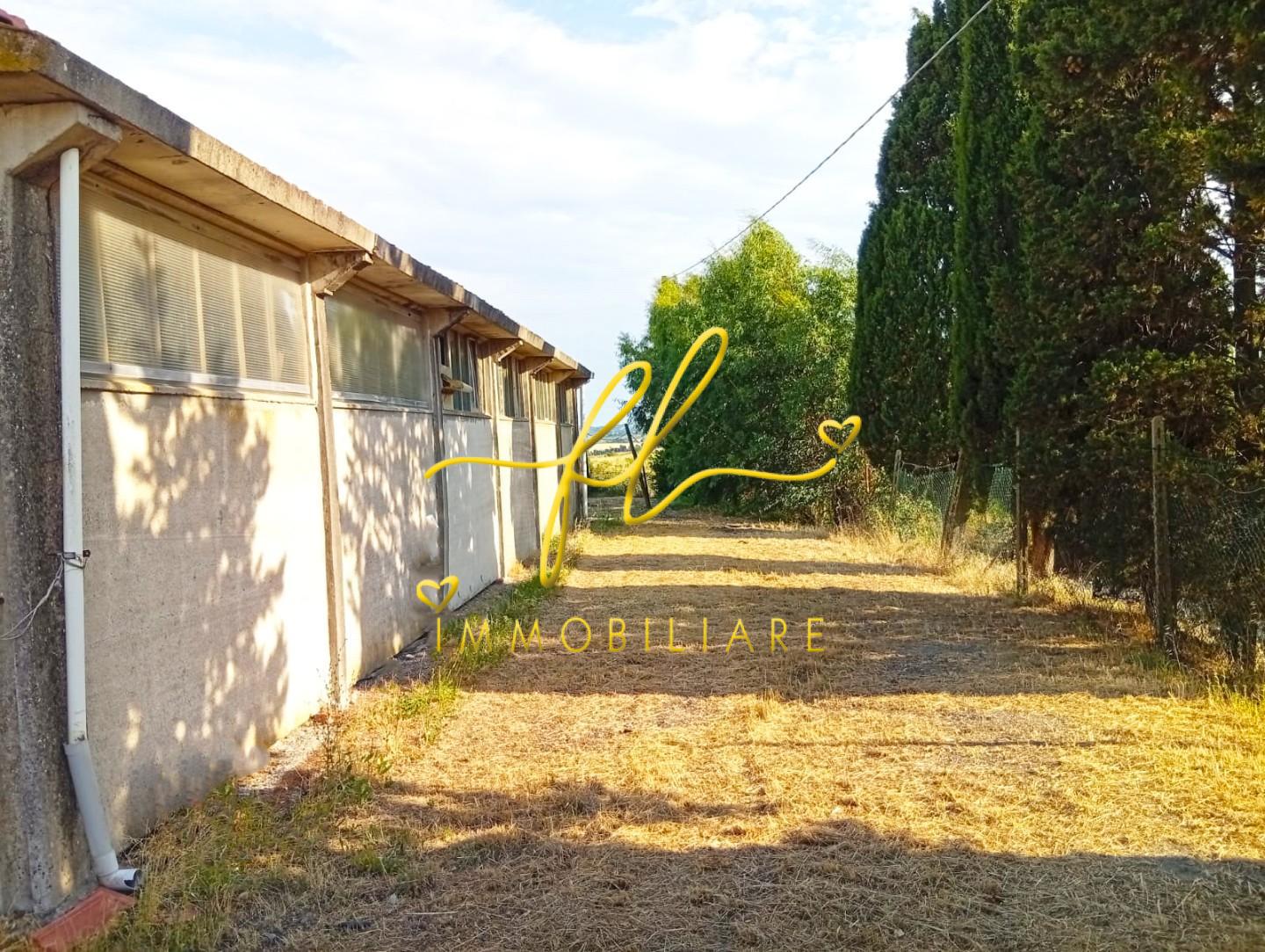Terreno Agricolo in vendita a Rosignano Marittimo