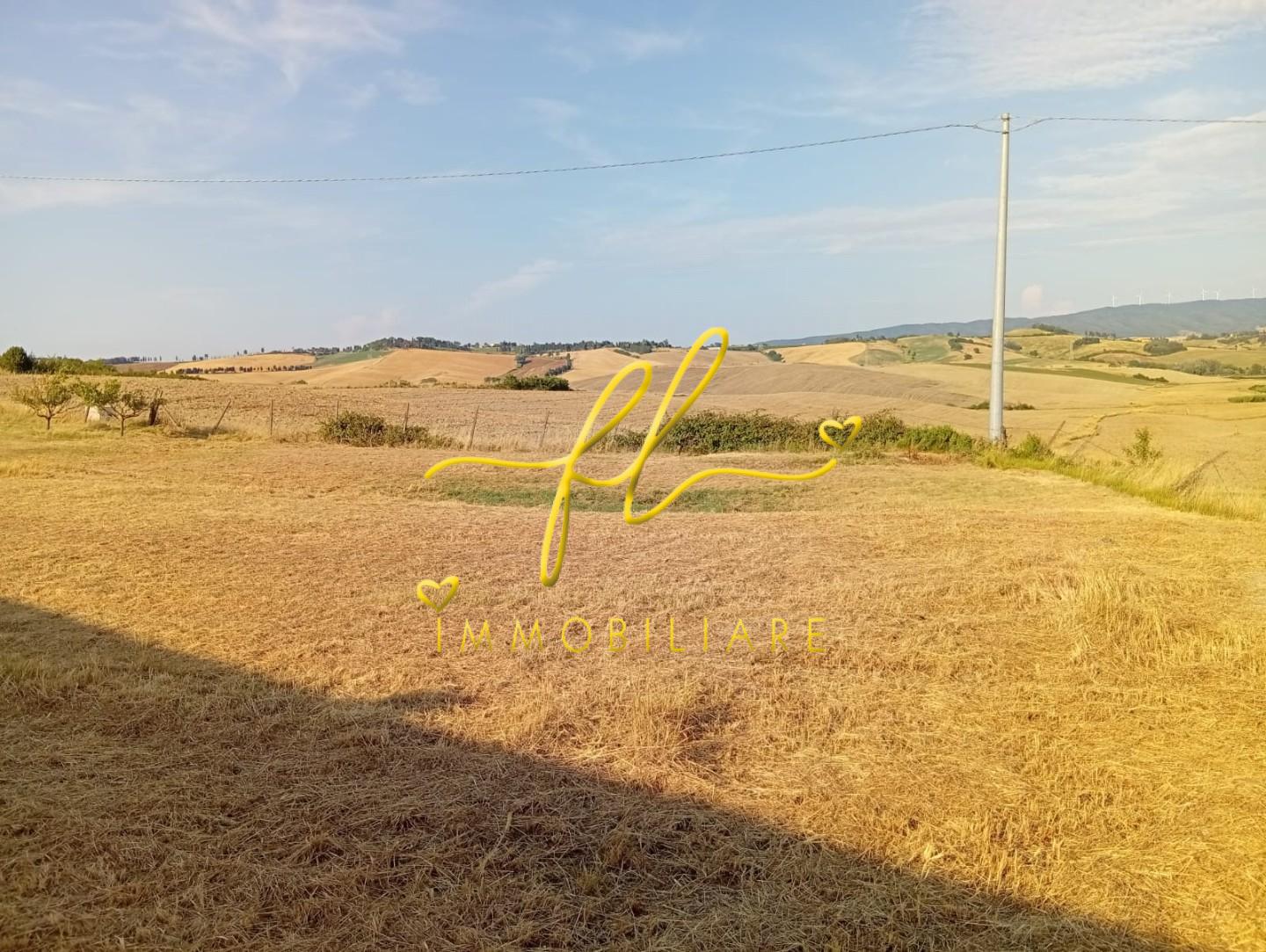 Terreno Agricolo in vendita a Rosignano Marittimo