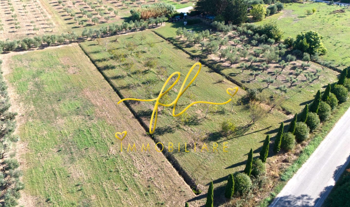 Terreno Agricolo in vendita, Piombino la sdriscia