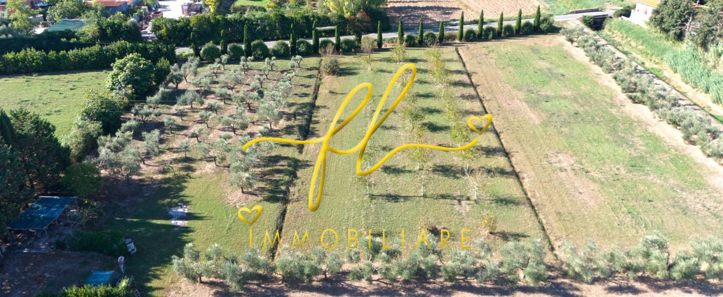 Terreno Agricolo in vendita, Piombino la sdriscia