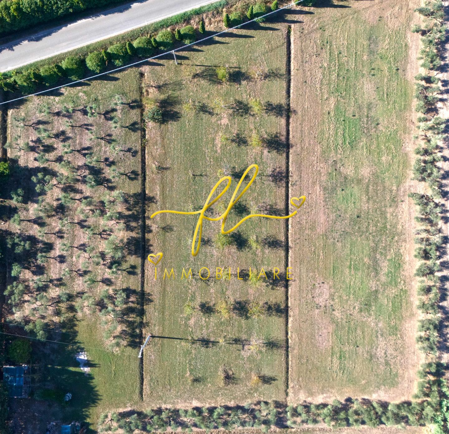 Terreno Agricolo in vendita, Piombino la sdriscia