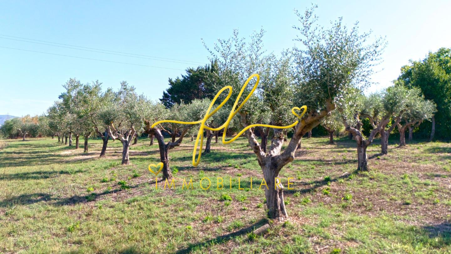 Terreno Agricolo in vendita, Piombino la sdriscia