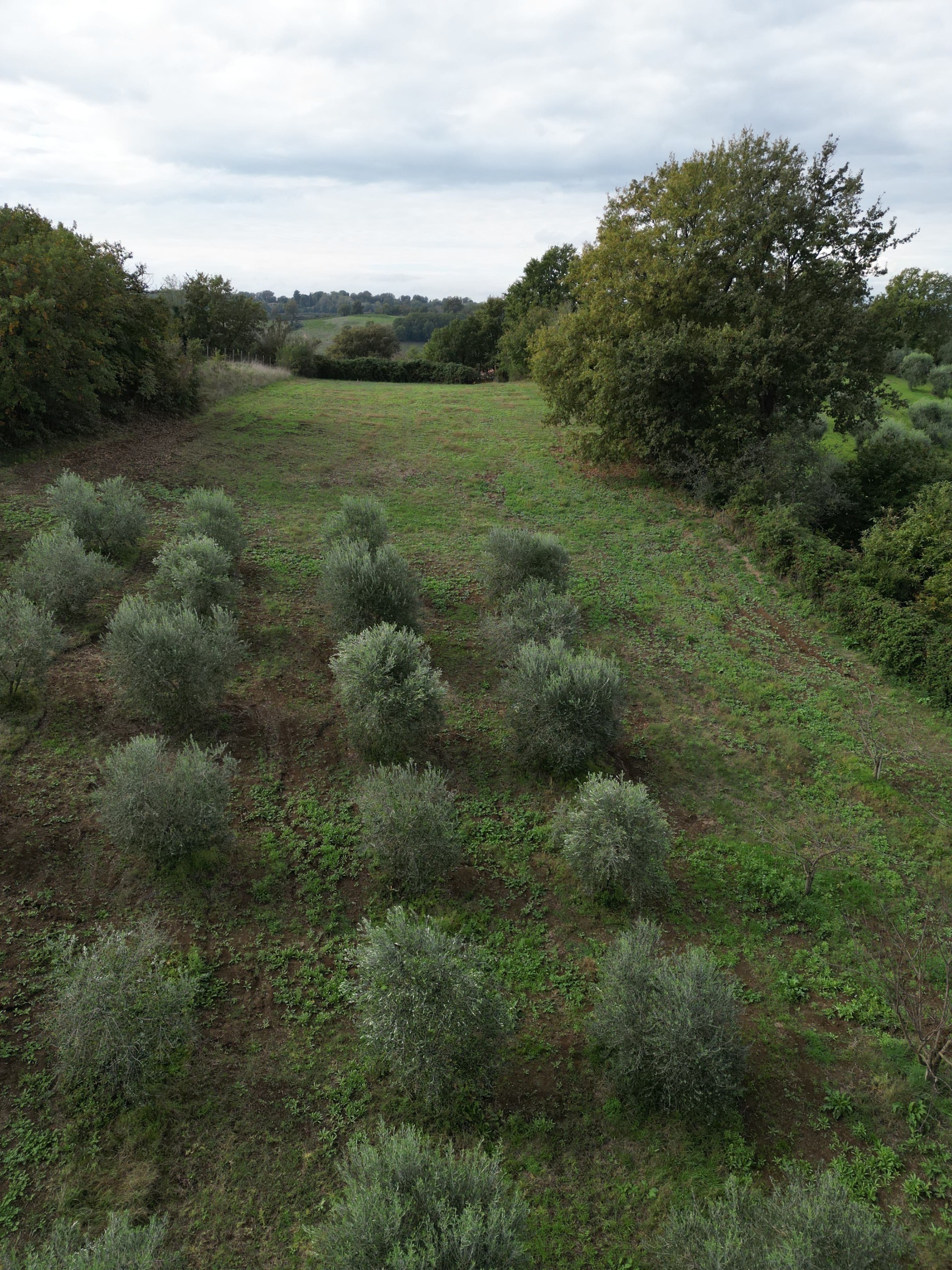 Casa indipendente con giardino a Civitella San Paolo