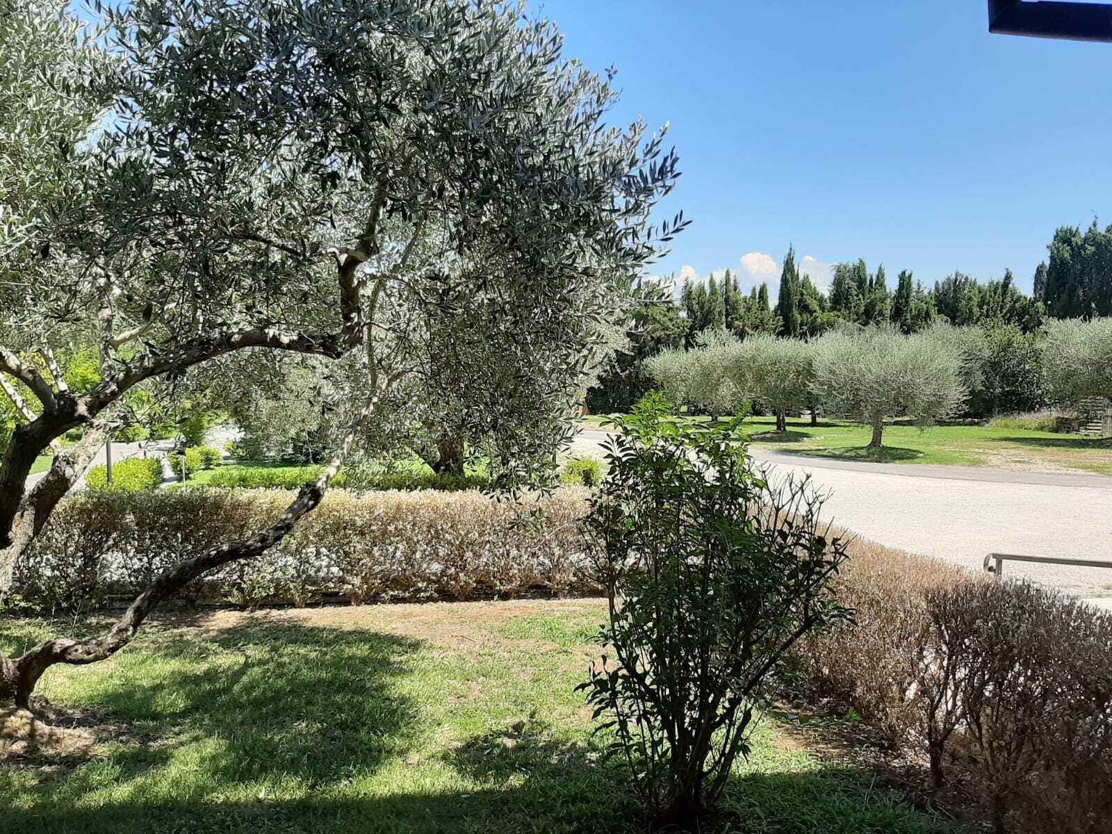 Stabile/Palazzo con giardino in via prato della corte 12, Fiano Romano
