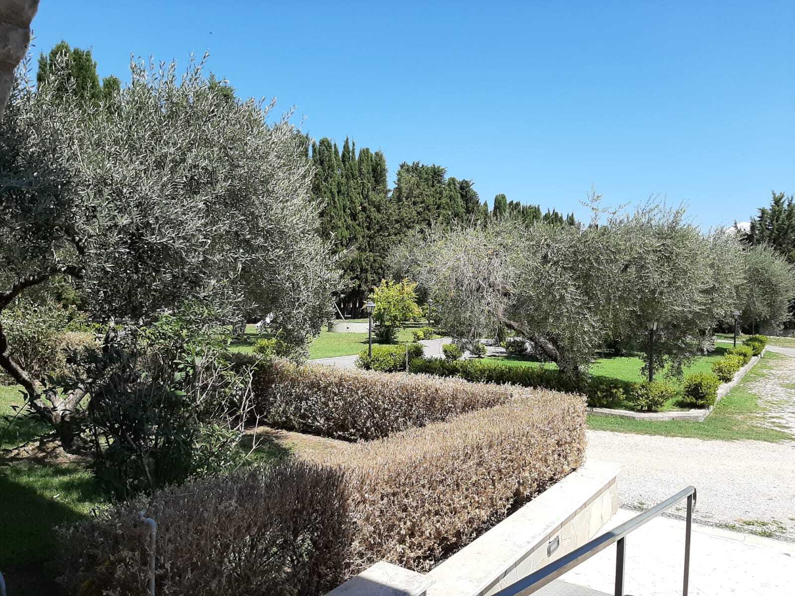 Stabile/Palazzo con giardino in via prato della corte 12, Fiano Romano