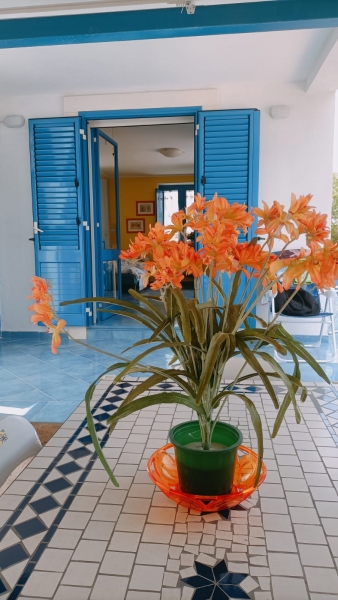 Villa arredata in affitto a Avola