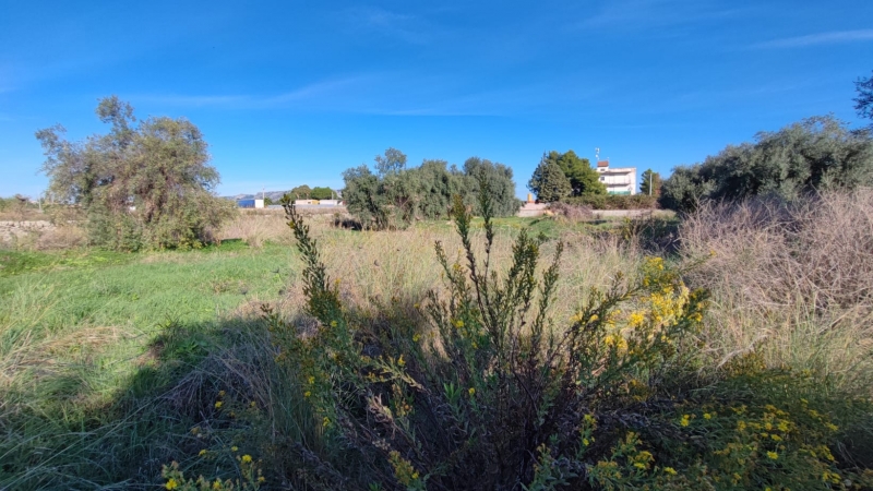 Terreno in vendita a Floridia