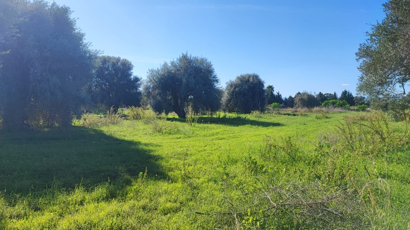 Terreno in vendita a Siracusa