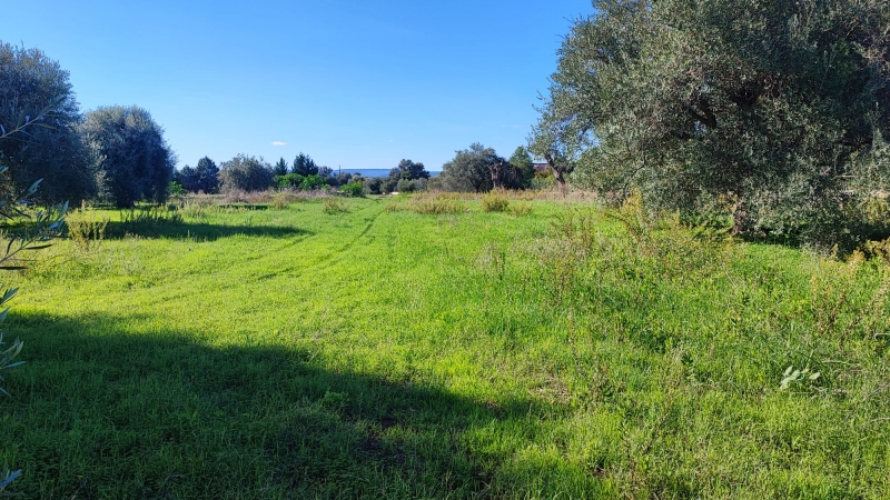Terreno in vendita a Siracusa
