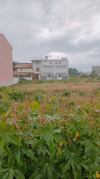 Terreno in vendita a Floridia