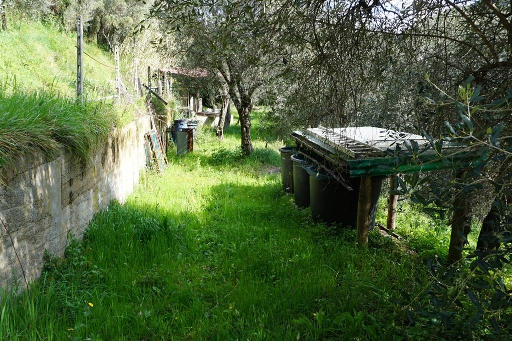 Terreno Agricolo in vendita a Albisola Superiore, La Pace