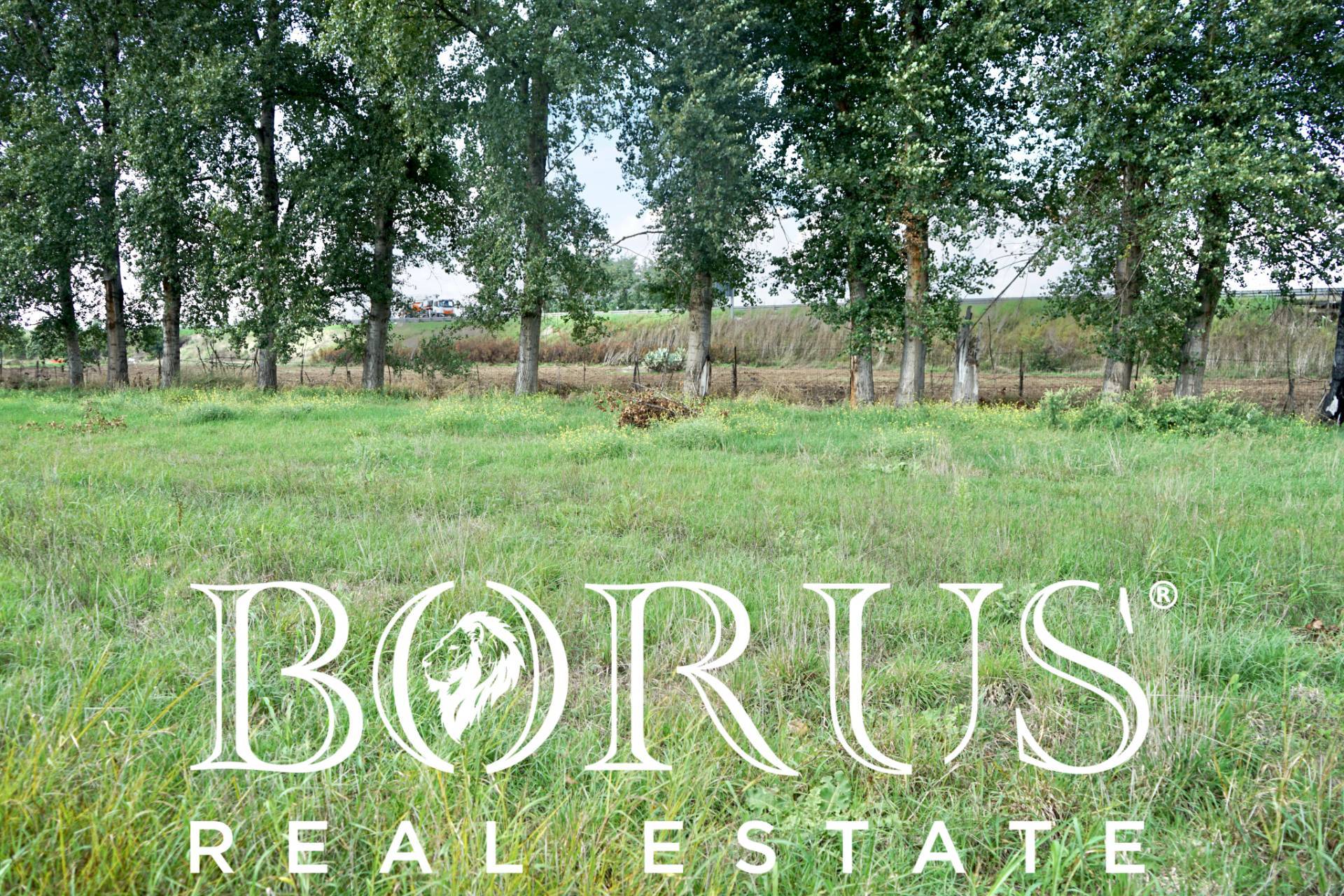 Terreno Agricolo in vendita a Casal di Principe