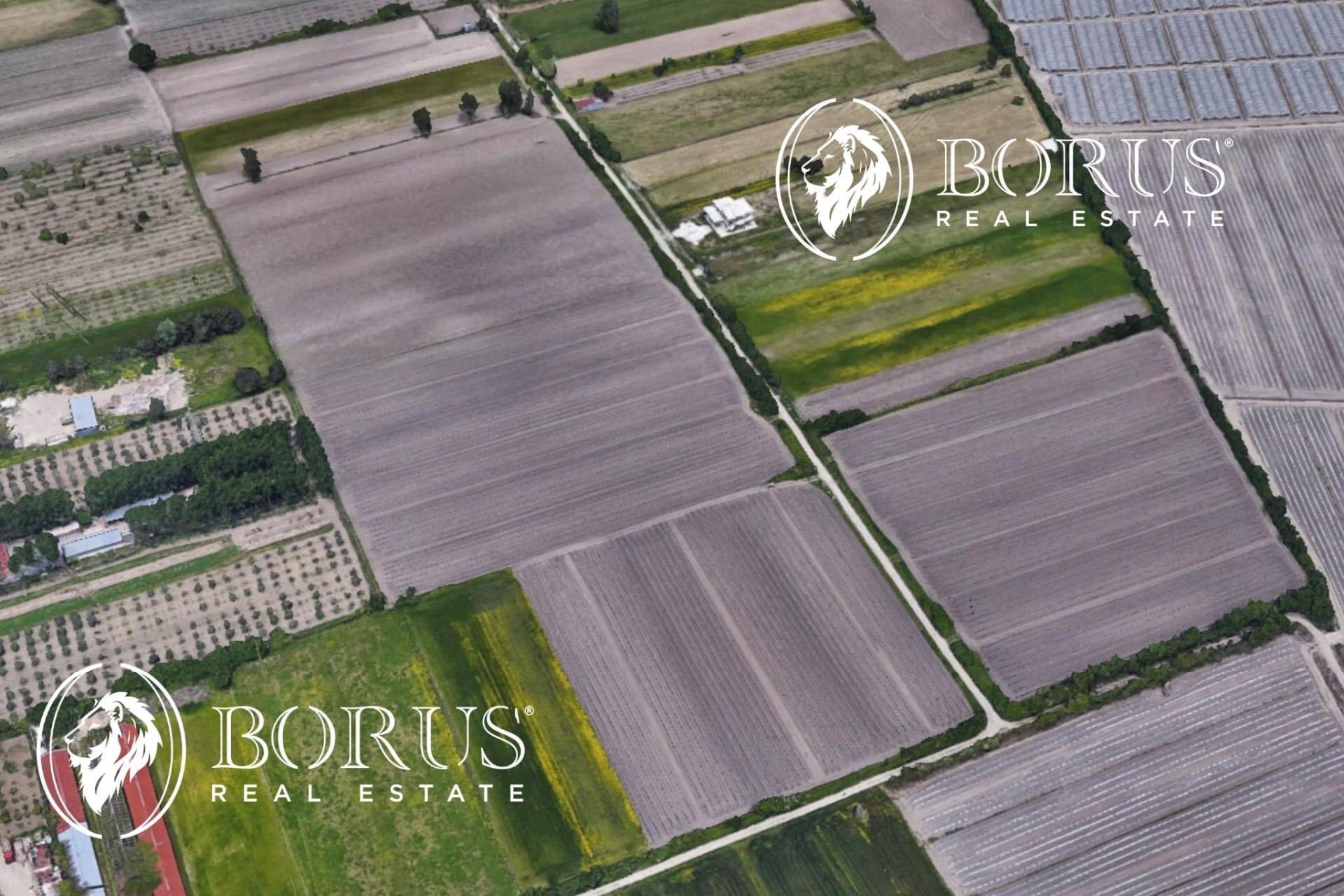 Terreno Agricolo in vendita a San Tammaro