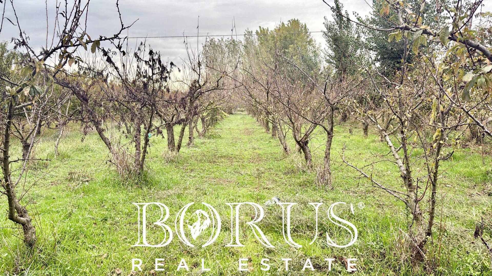 Terreno edificabile in vendita a San Marcellino