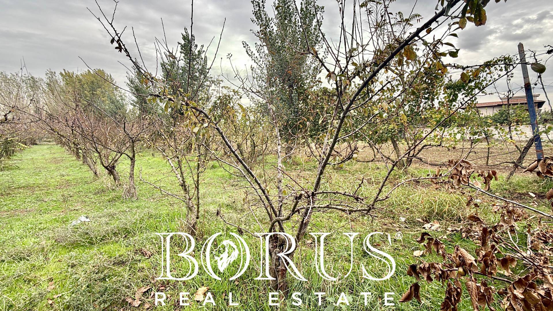 Terreno edificabile in vendita a San Marcellino