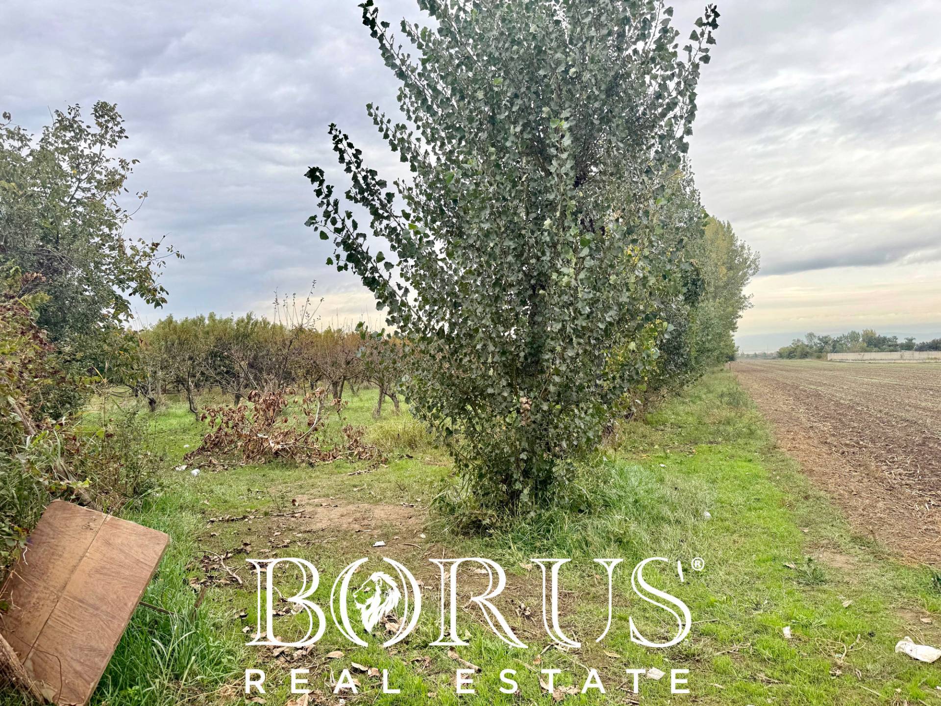 Terreno edificabile in vendita a San Marcellino