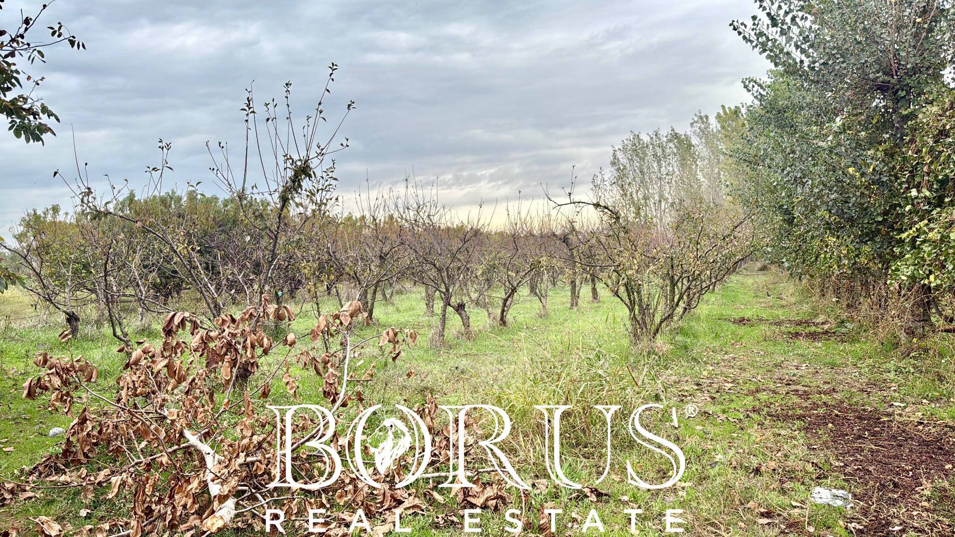 Terreno edificabile in vendita a San Marcellino