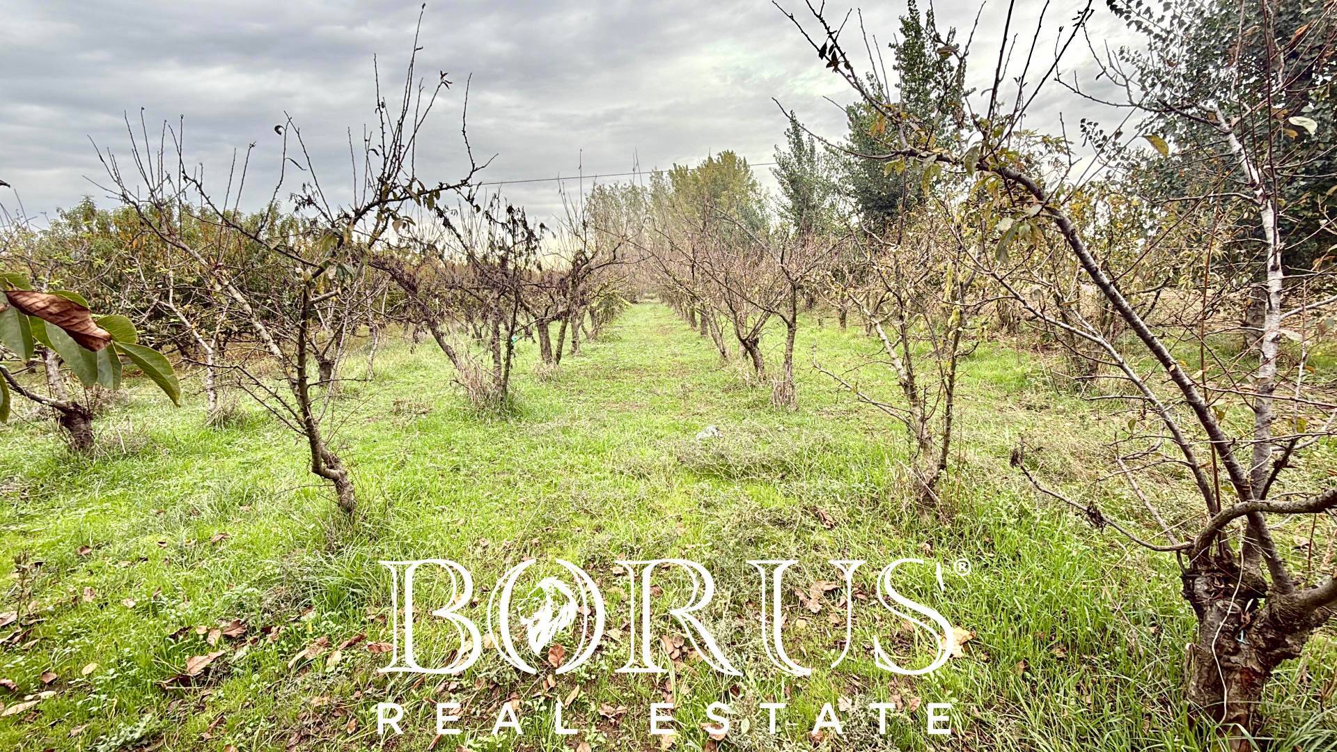 Terreno edificabile in vendita a San Marcellino