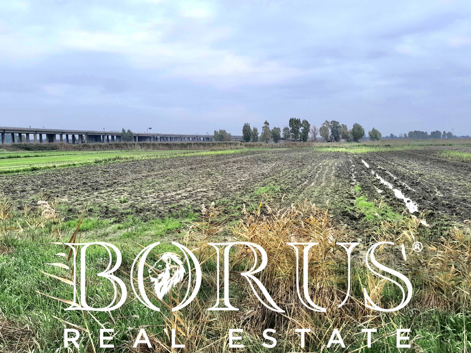 immagine annuncio 1 di 7