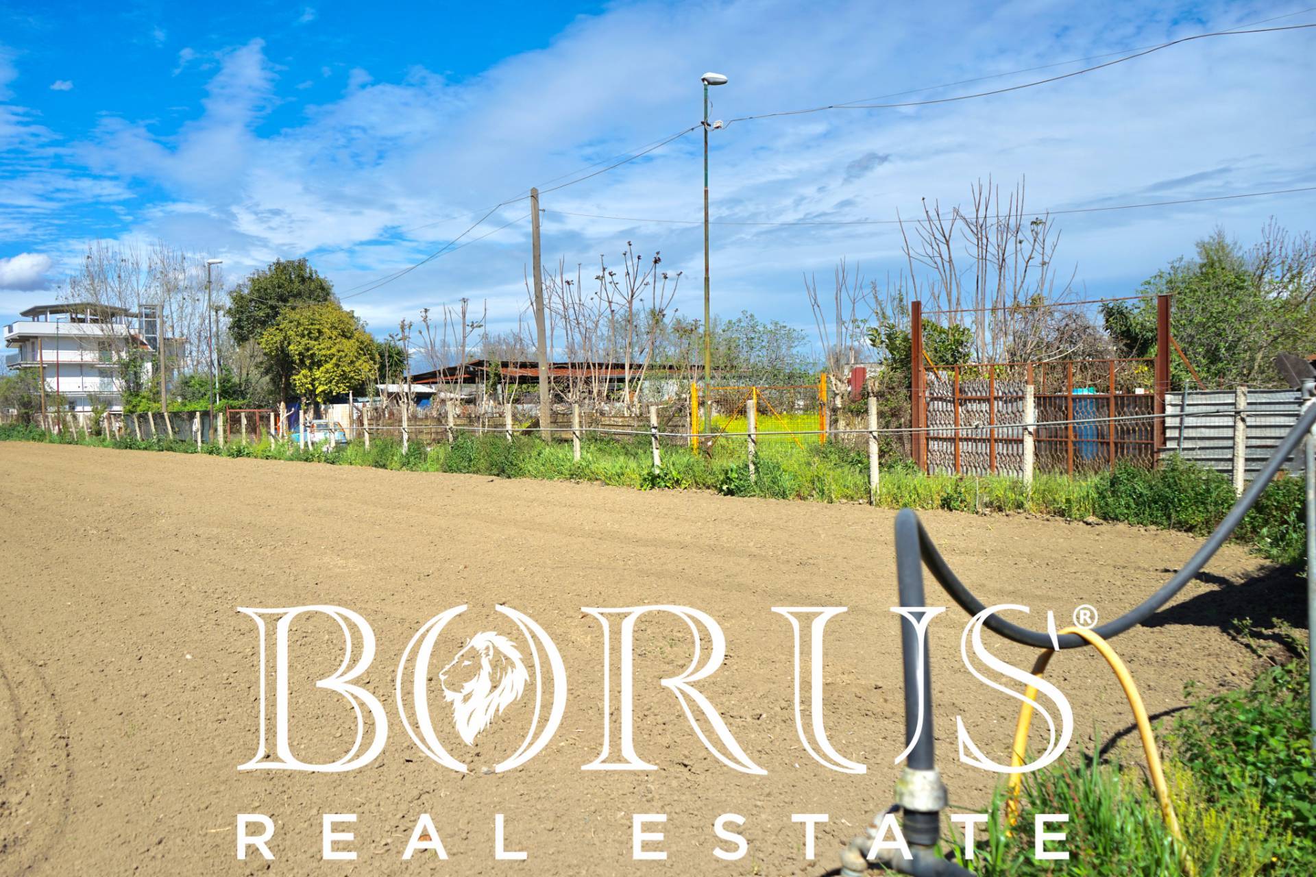 Terreno Agricolo in vendita a Sant'Arpino