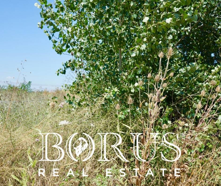 Terreno Agricolo in vendita a Casal di Principe