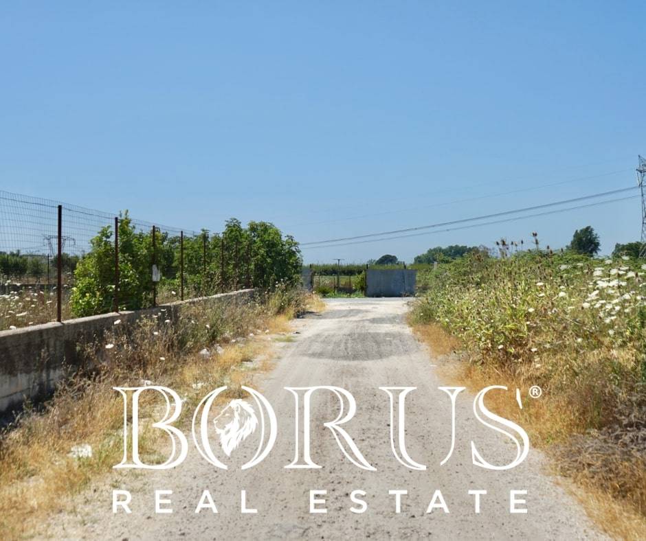 Terreno Agricolo in vendita a Casal di Principe