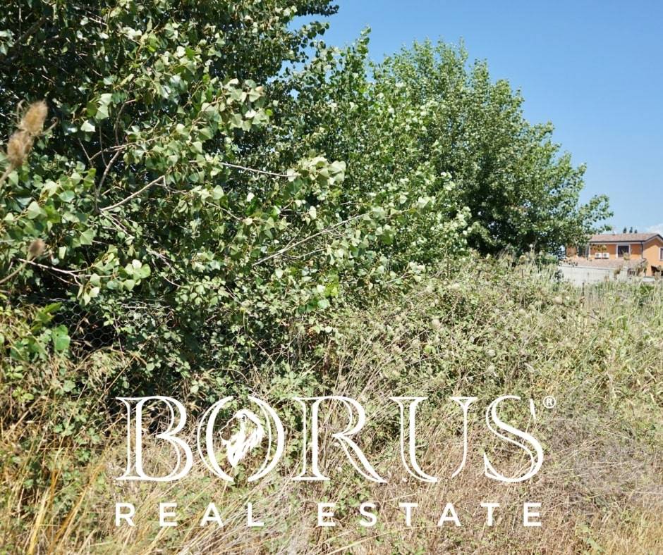 Terreno Agricolo in vendita a Casal di Principe