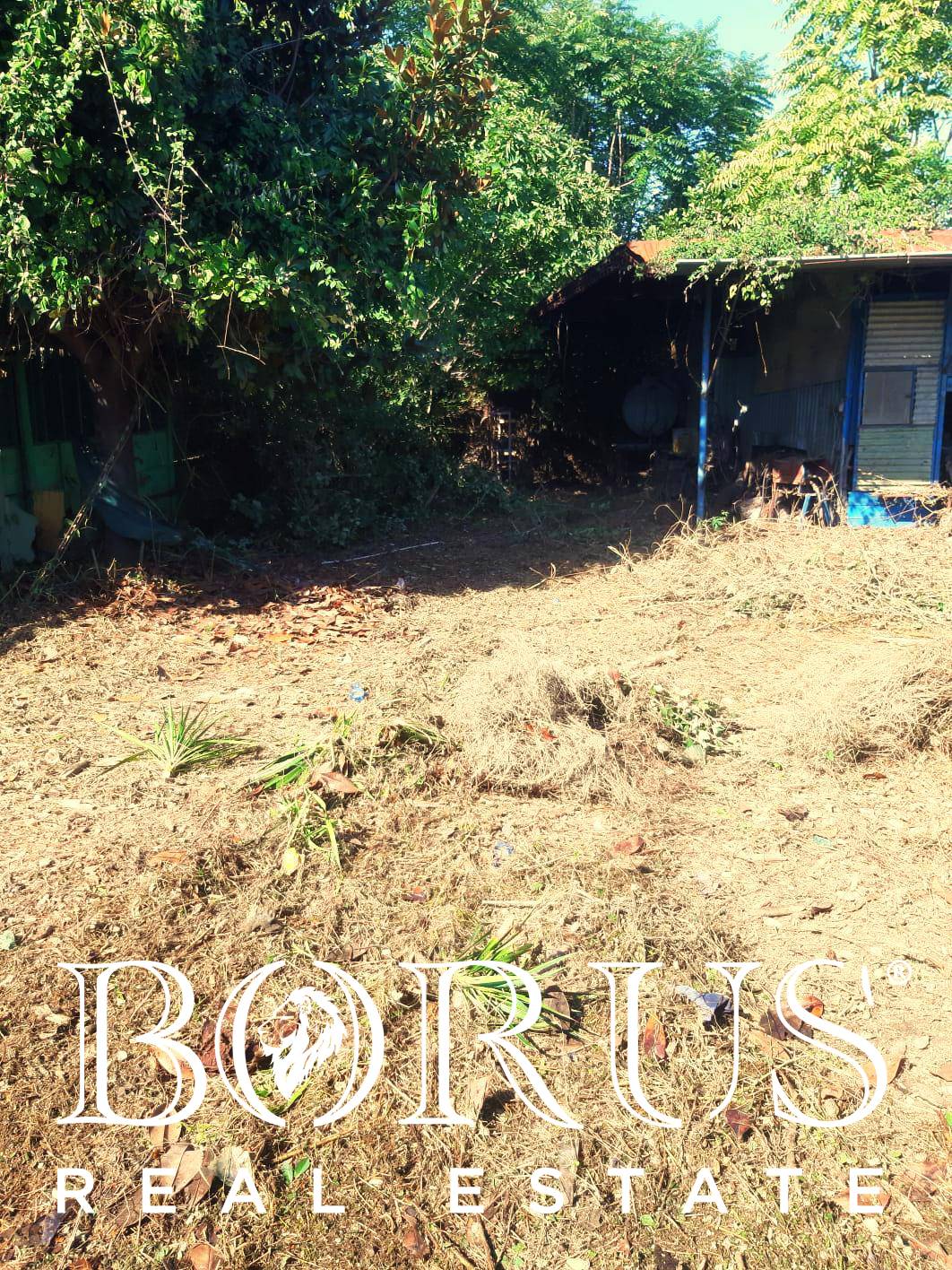 Terreno Agricolo in affitto a Giugliano in Campania