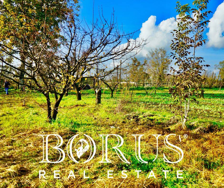 Terreno Agricolo in vendita a Teverola