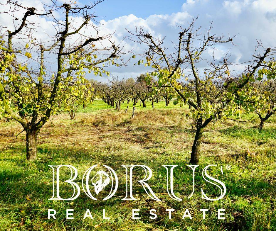 Terreno Agricolo in vendita a Teverola