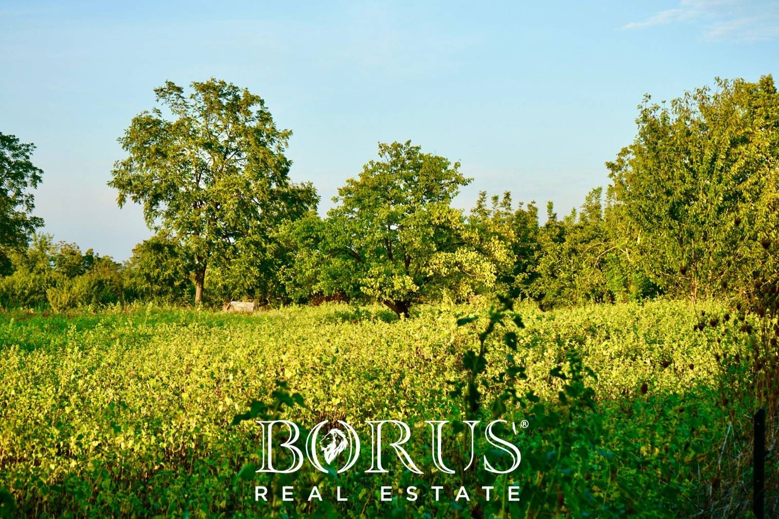 Terreno edificabile in vendita a Aversa