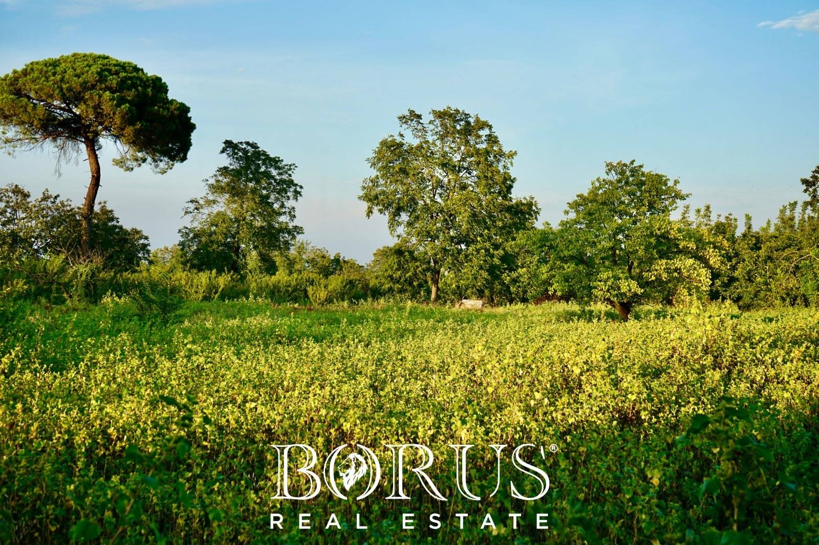 Terreno edificabile in vendita a Aversa