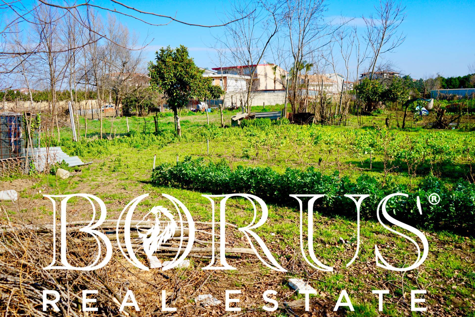 Terreno Agricolo in vendita a Trentola-Ducenta