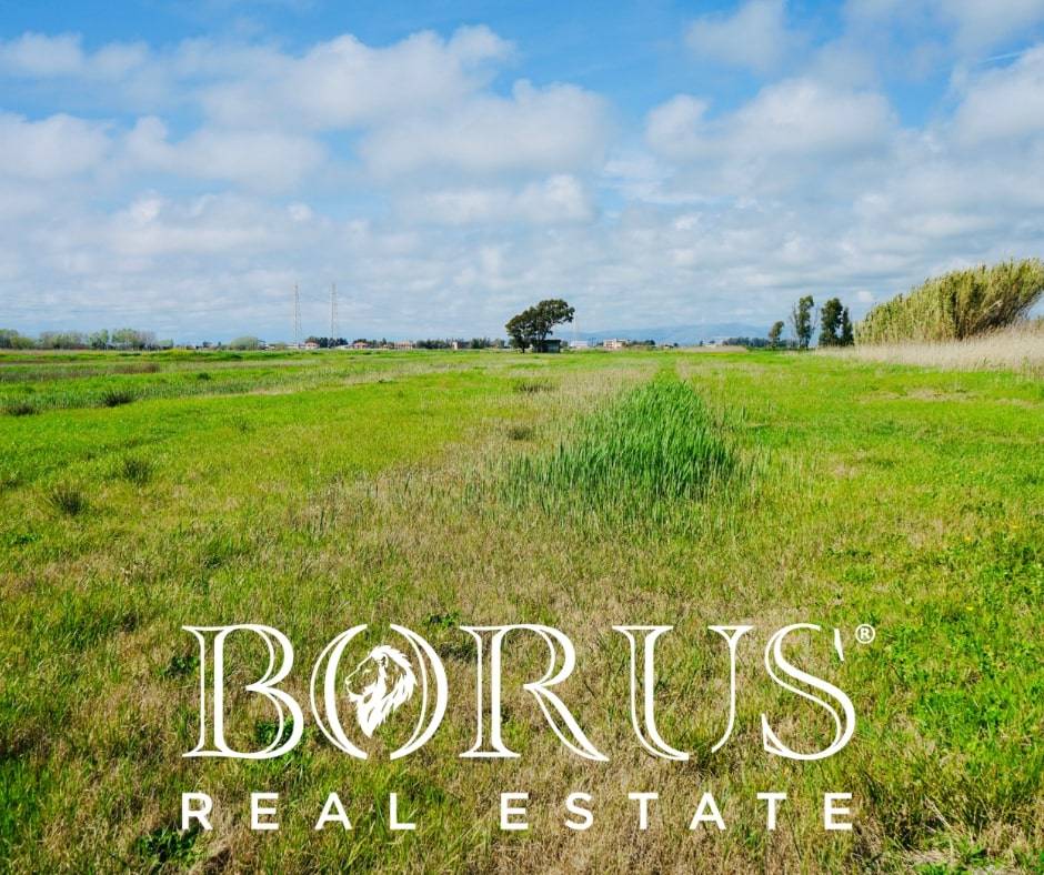 immagine annuncio 8 di 9