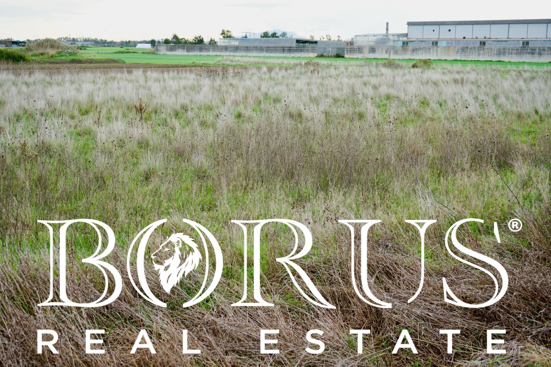 Terreno Agricolo in vendita a Castel Volturno