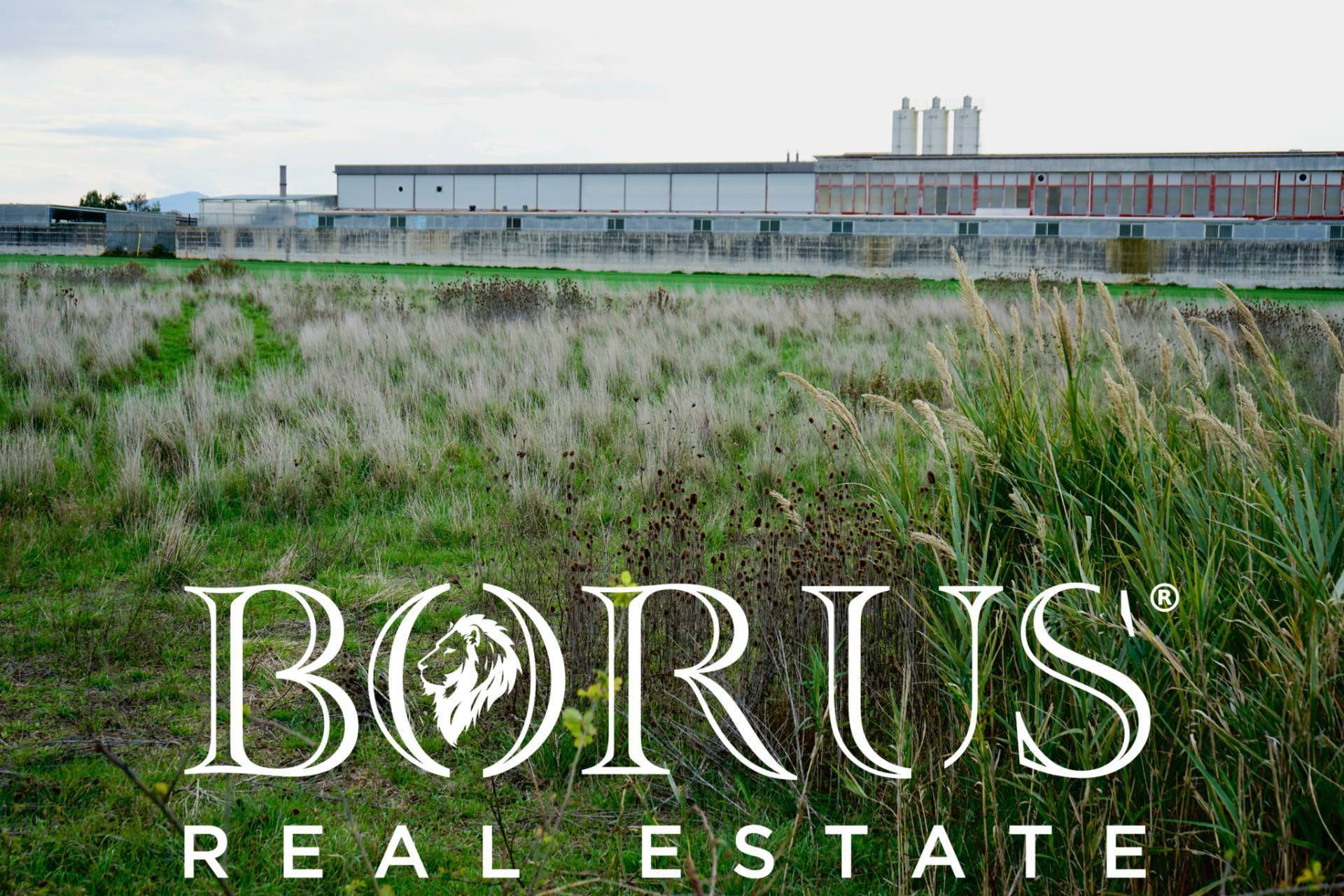 Terreno Agricolo in vendita a Castel Volturno