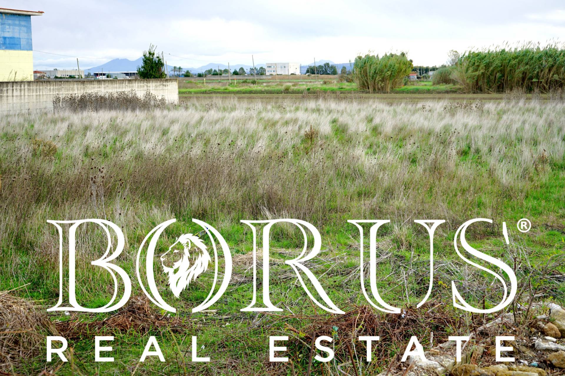 Terreno Agricolo in vendita a Castel Volturno