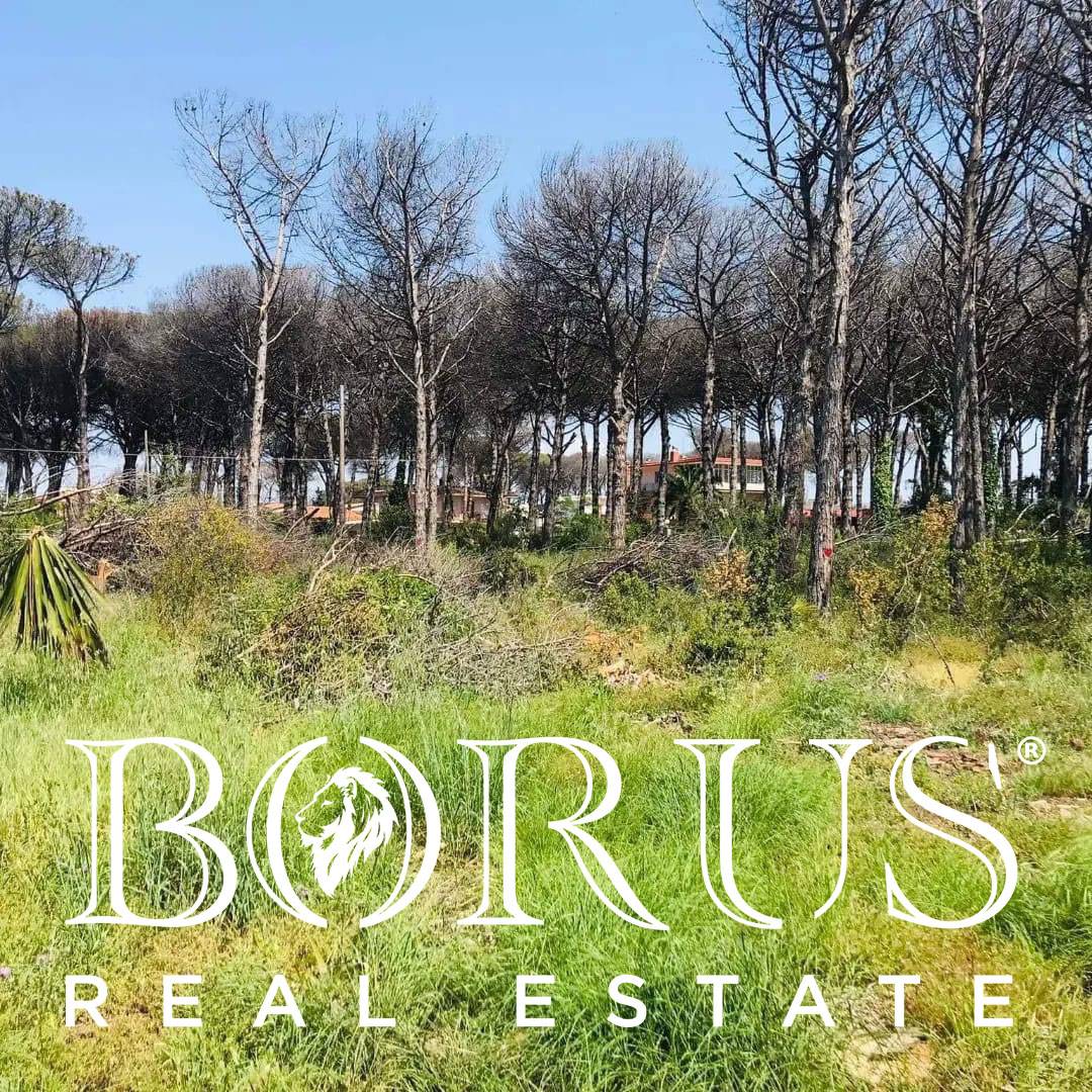 Terreno Agricolo in vendita a Castel Volturno